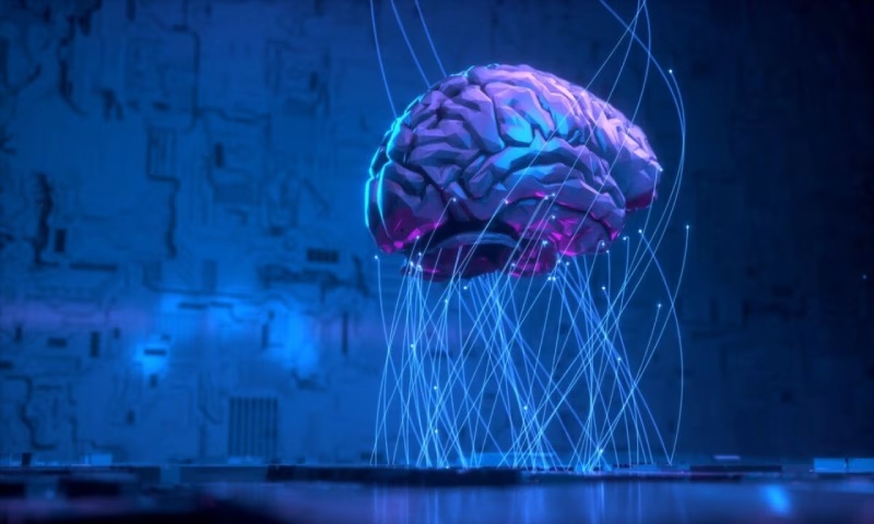 盱眙县信创改造:你的开发团队为何必须具备多样性?